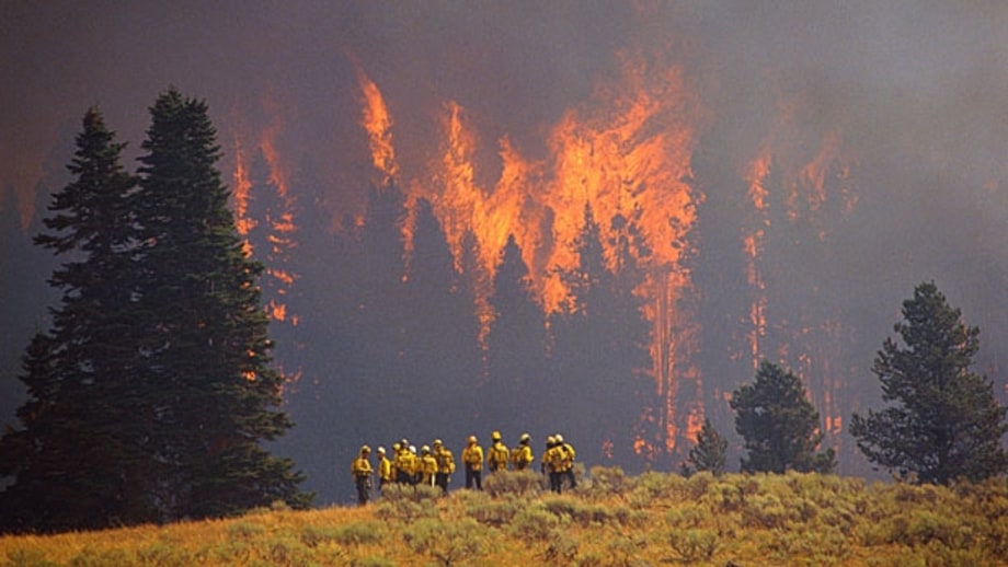 Yellowstone, 1988