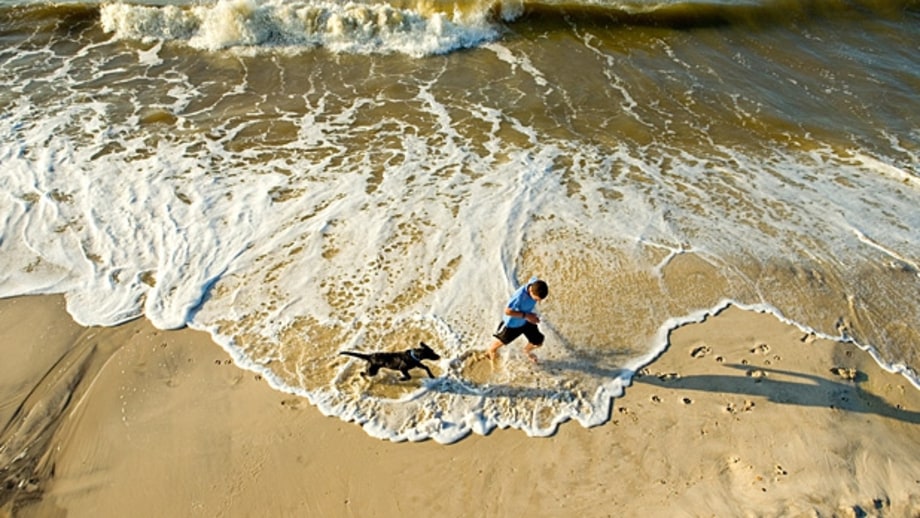 Alabama, Mississippi, Louisiana: The Gulf Coast Road Trip