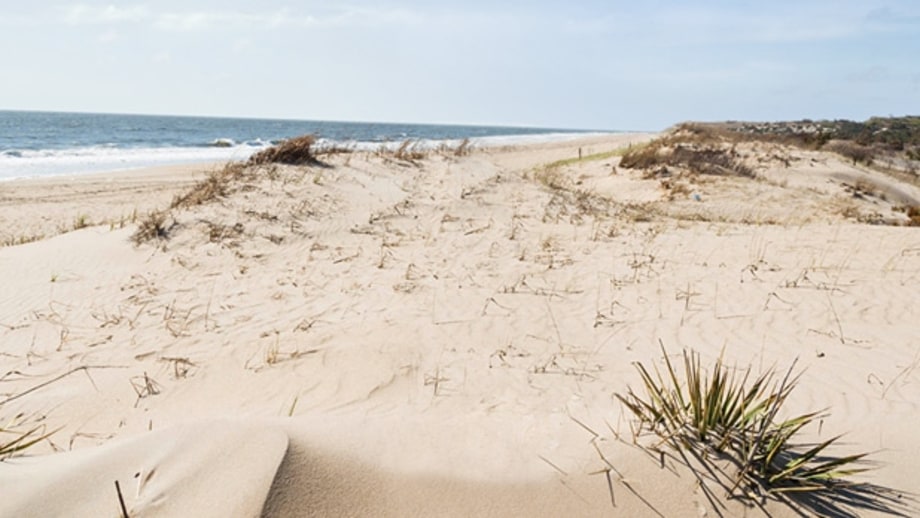Delaware: The Hidden Beach In-Between