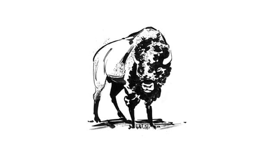Kansas: Walk With Buffalo