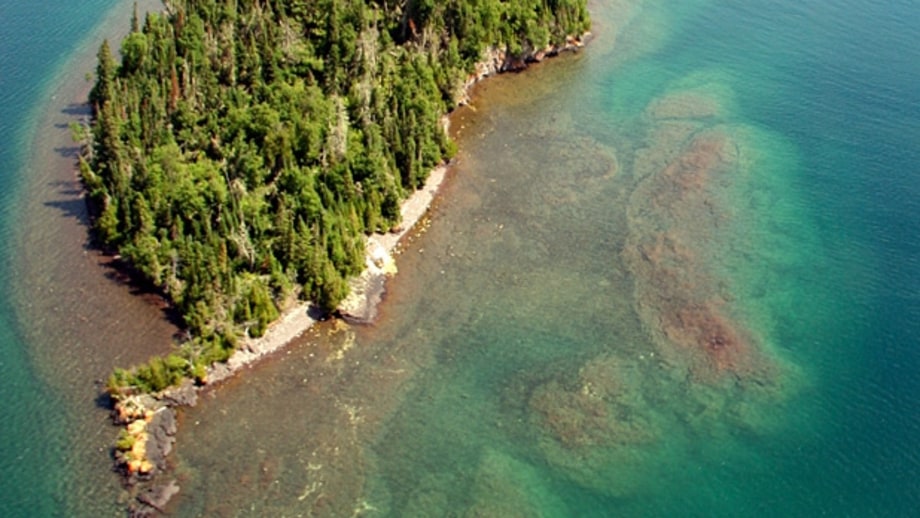 Michigan: Island of Wolves
