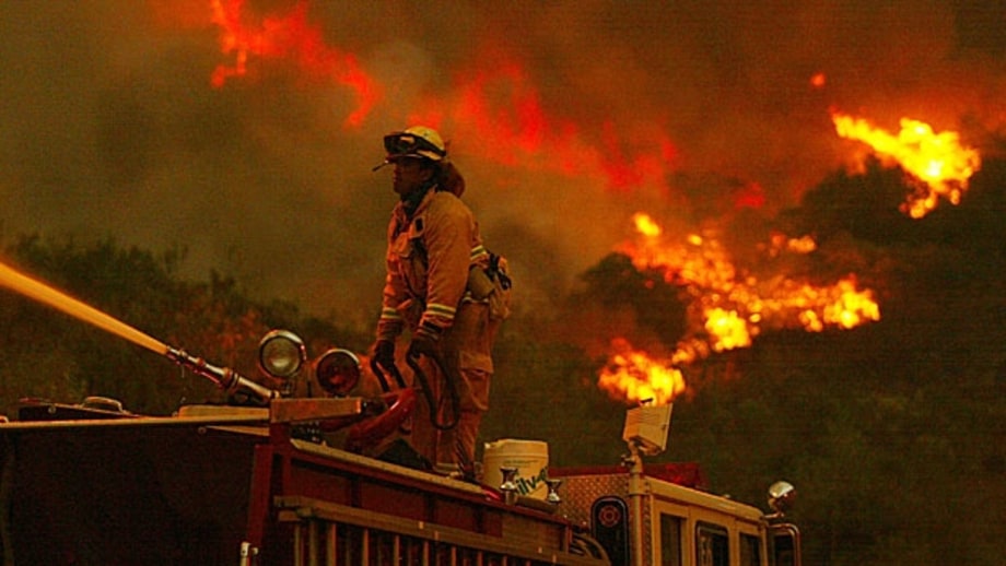 Cedar, 2003