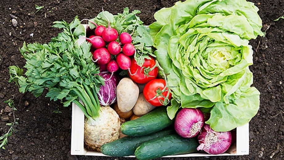 The Complete Salad Garden