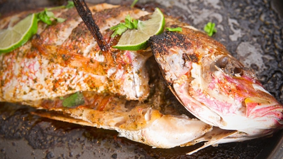 Beginner Recipe: Fish