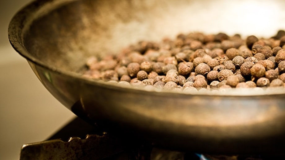 Beginner Recipe: Venison