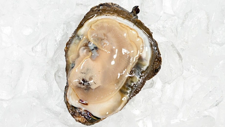 A Shucker's Guide to Oysters