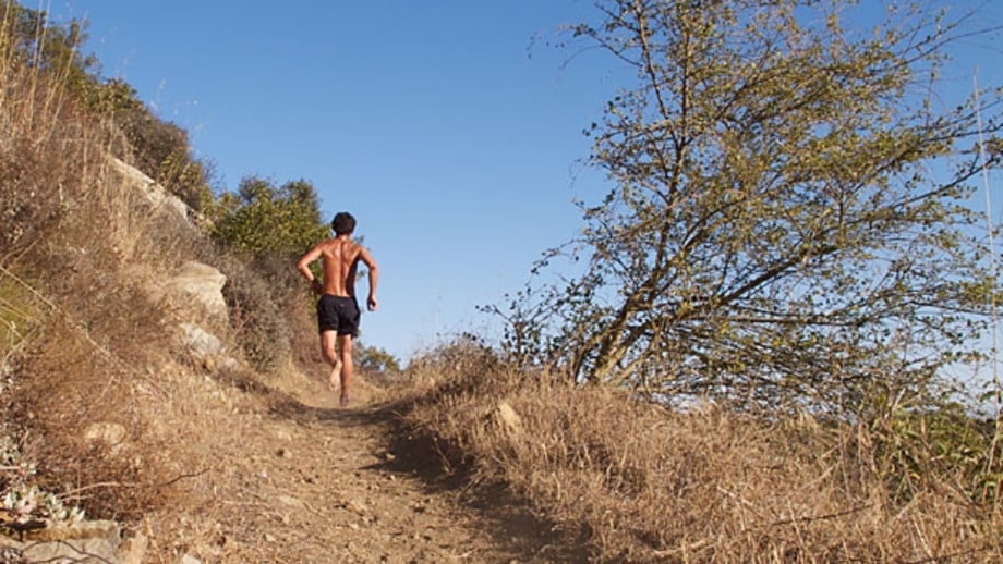 The Wrong Way to Run