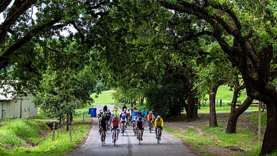 Bottega Gran Fondo