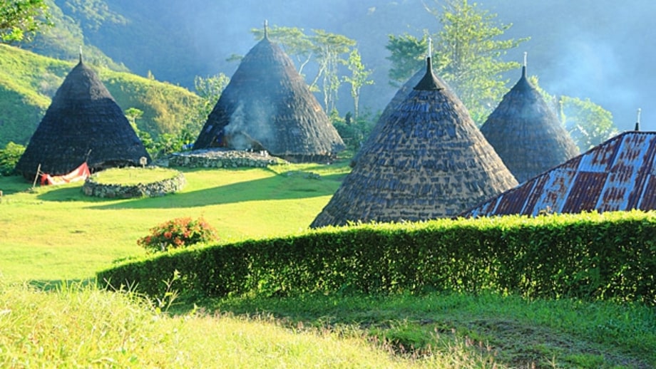 Spend an alien night on fantasy island.