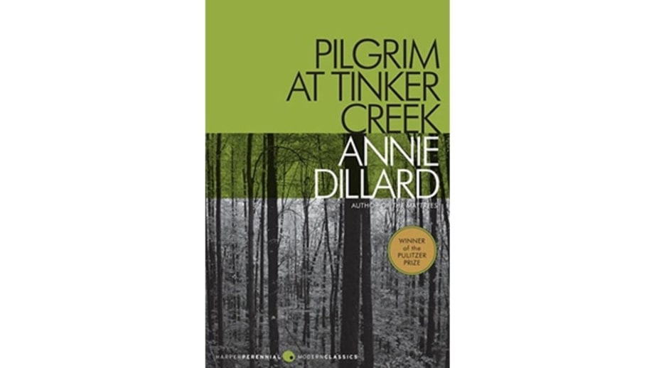 flood essay by annie dillard Response to death of a moth annie dillard’s essay “the death of a moth” made no sense to me when i initially read it, in a search essays sign up. flood essay by annie dillard Response to death of a moth annie dillard’s essay “the death of a moth” made no sense to me when i initially read it, in a search essays sign up.