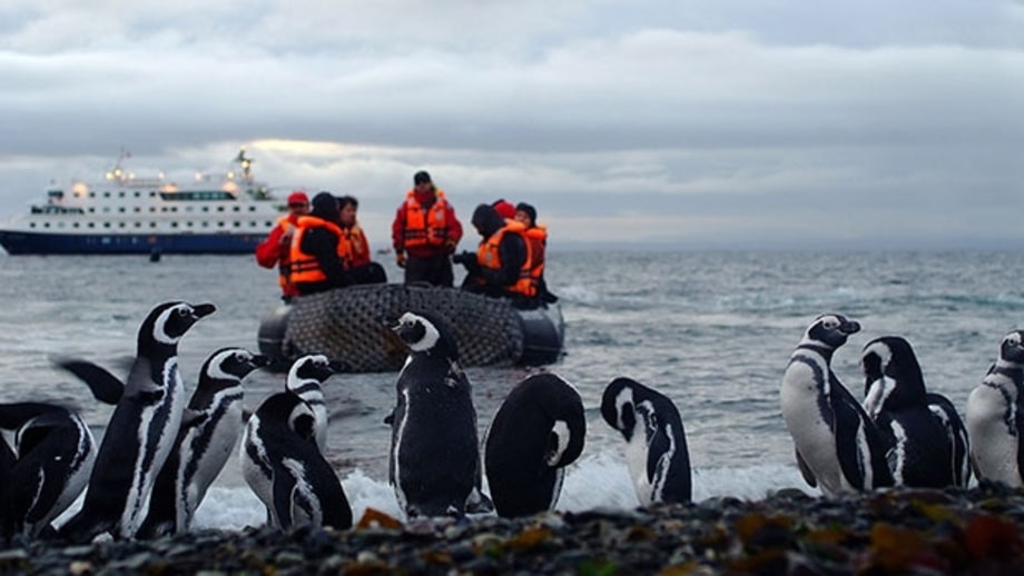 Australis: Punta Arenas to Tierra del Fuego