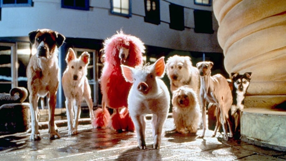 Babe: Pig in the City