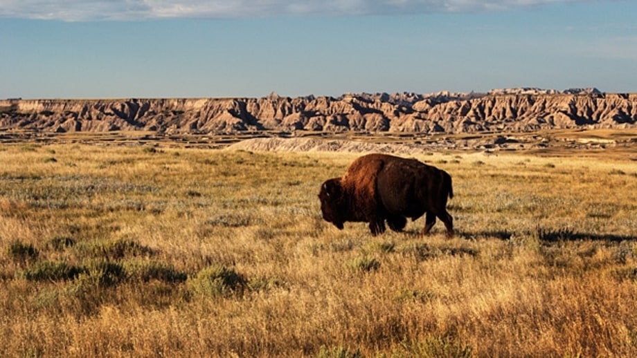 Badlands