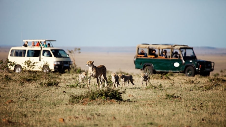 Best African Safaris