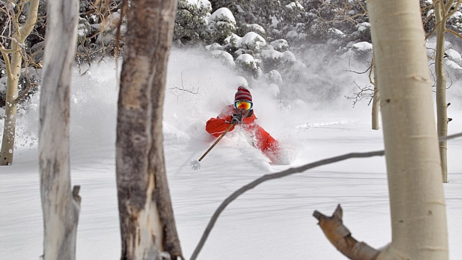 Guaranteed Powder: Alta/Snowbird, UT