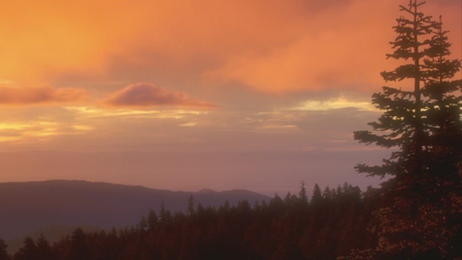Bigfoot Trail, Yolla Bolly-Middle Eel Wilderness, California (40 miles)