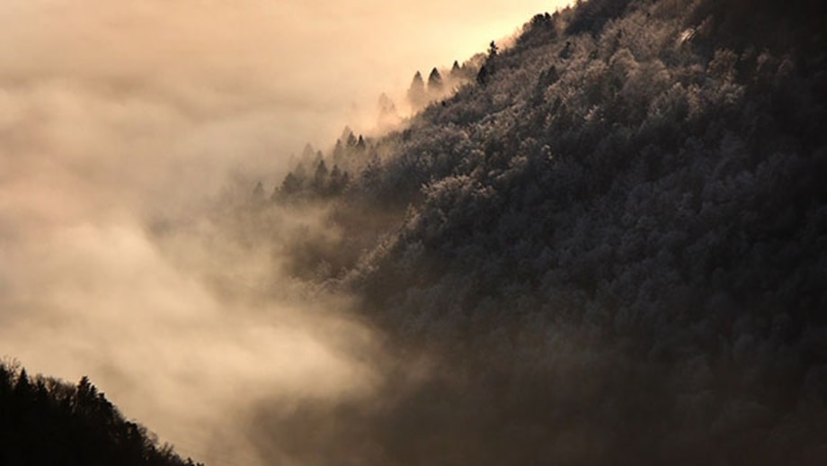 Black Mountain, North Carolina