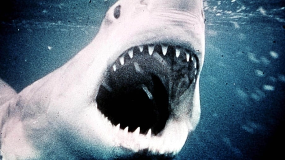 Blue Water, White Death (1971)