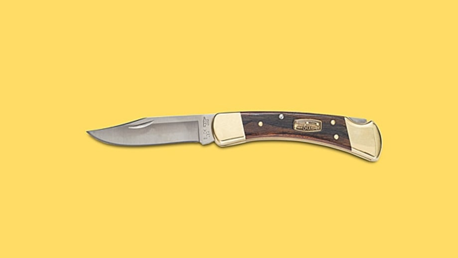 Buck Knives 110 Folding Hunter - 50th Anniversary Edition