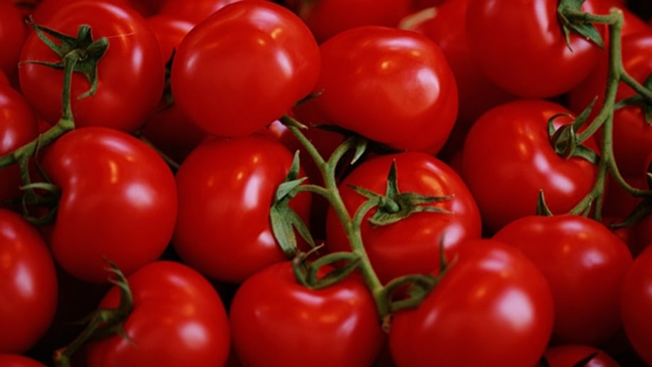 Canned Cherry Tomatoes