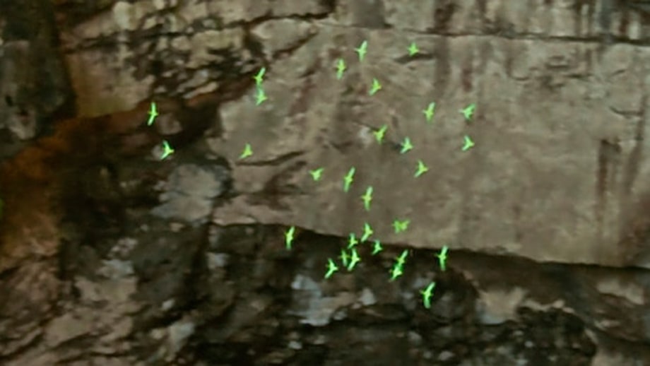 Cave of Swallows (Mexico)