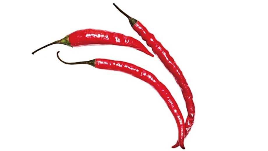 Cayenne (hot)