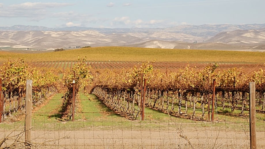 The Film Geek: Central Valley, California