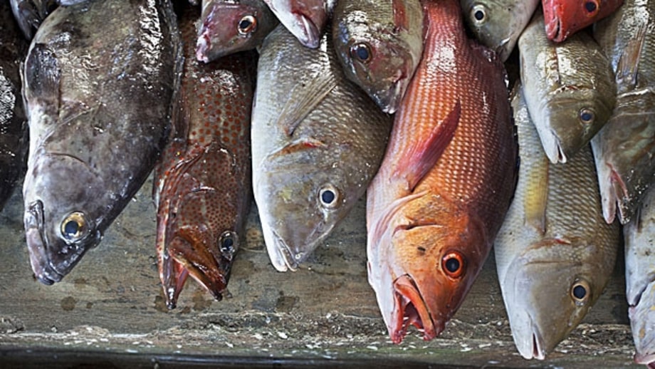 Chef Rick Moonen's Guide to Shopping Like a Chef