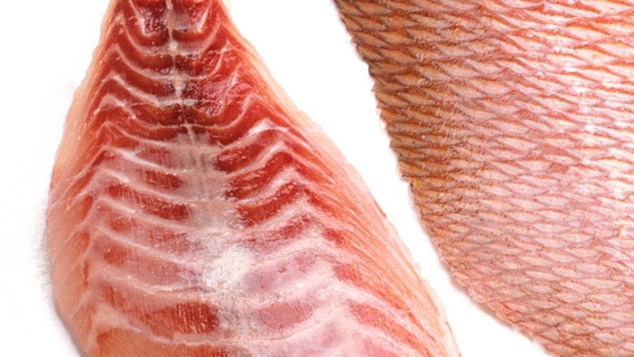 Choose the right fish.