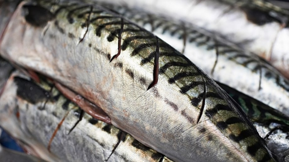 Dress the fish.