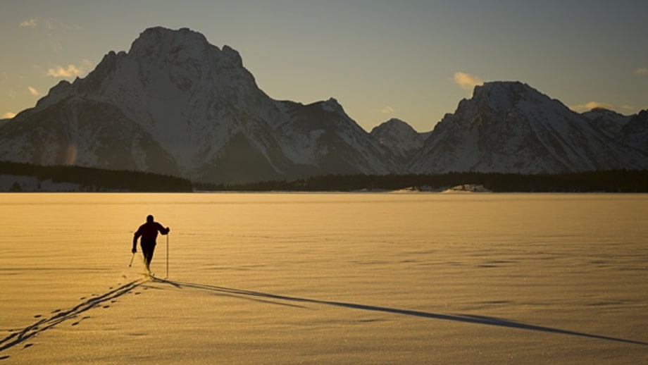 Cross-Country Skiing