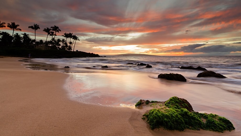 Wailea Beach (Maui)