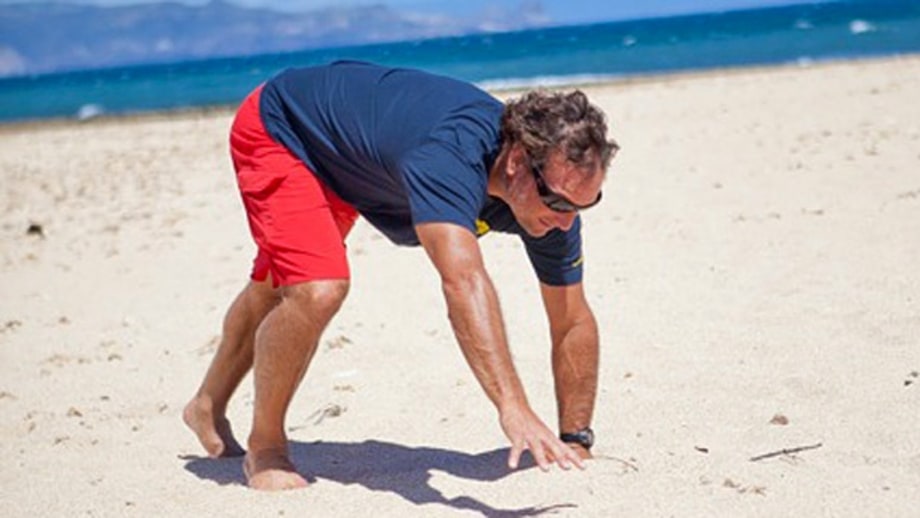 Bear Crawl