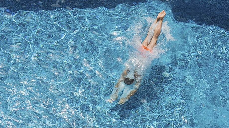 Day 1: Dive in!