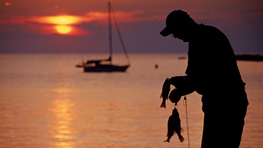 Detroit, Michigan: Bass, Trout