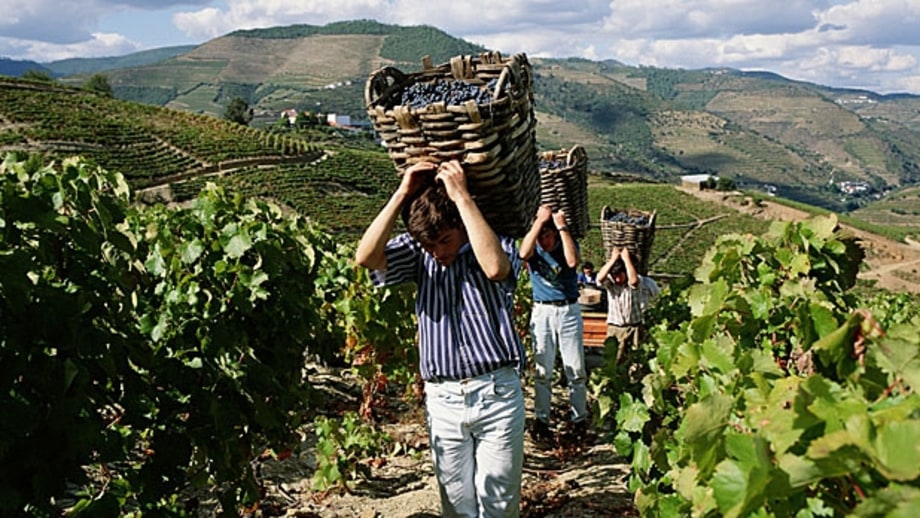 The Romantic Getaway: Douro Valley, Portugal