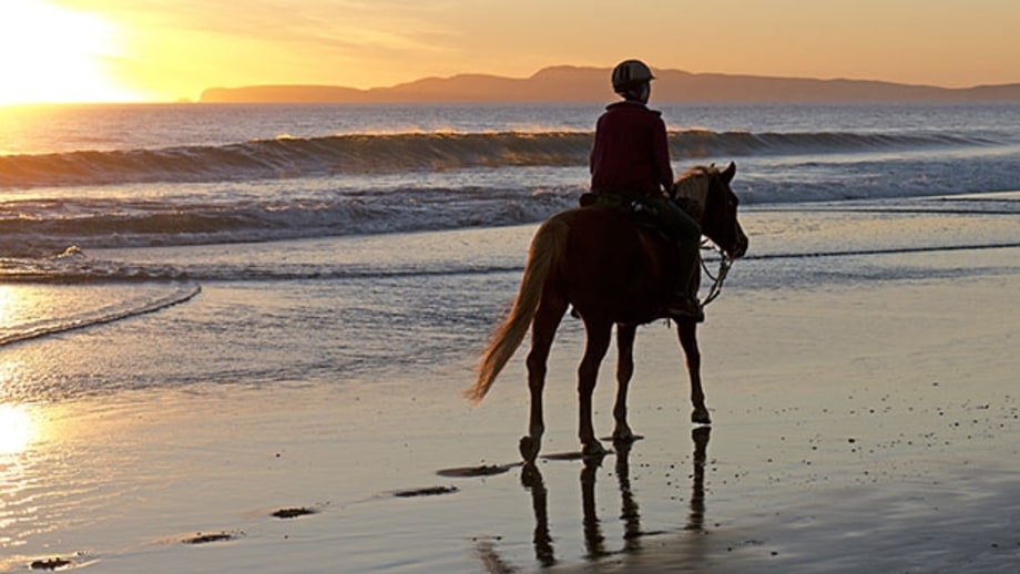 Point Reyes, CA
