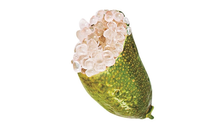 Mikuni Finger Limes