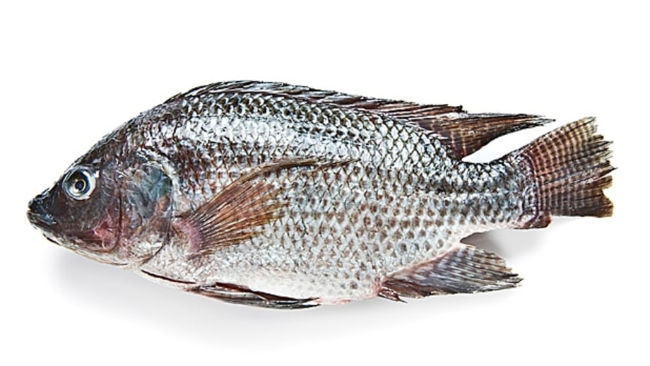 U.S. Farmed Tilapia