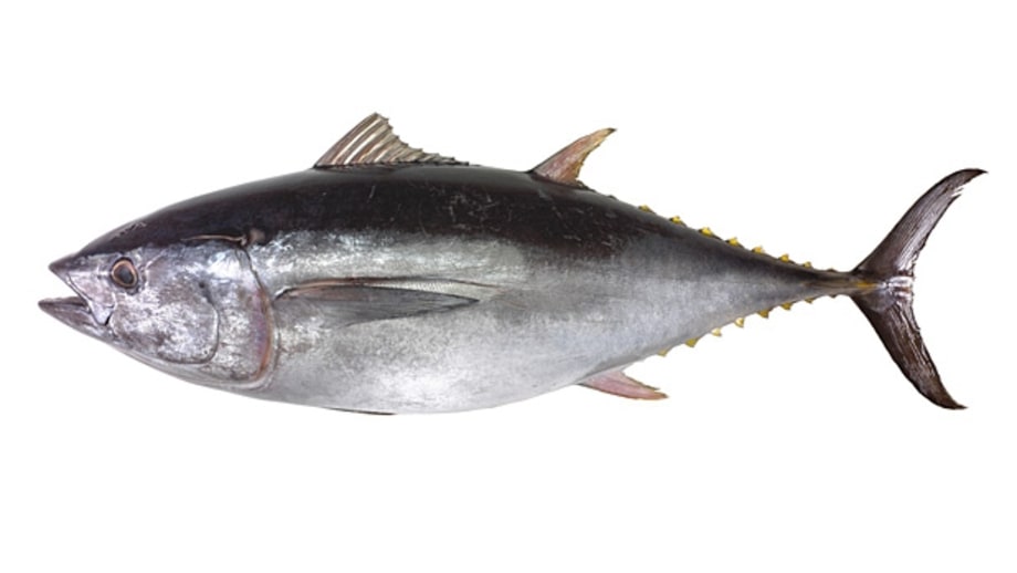 The Five Safest Fish to Eat