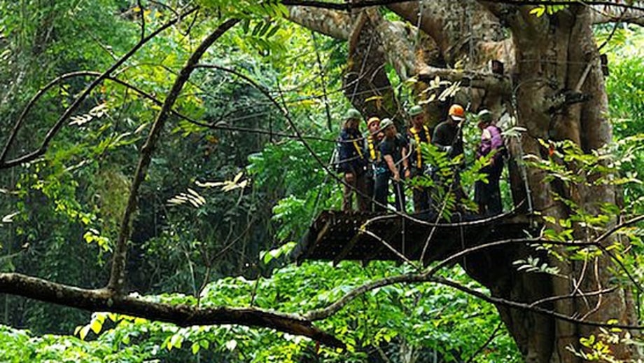 Flight of the Gibbon, Thailand