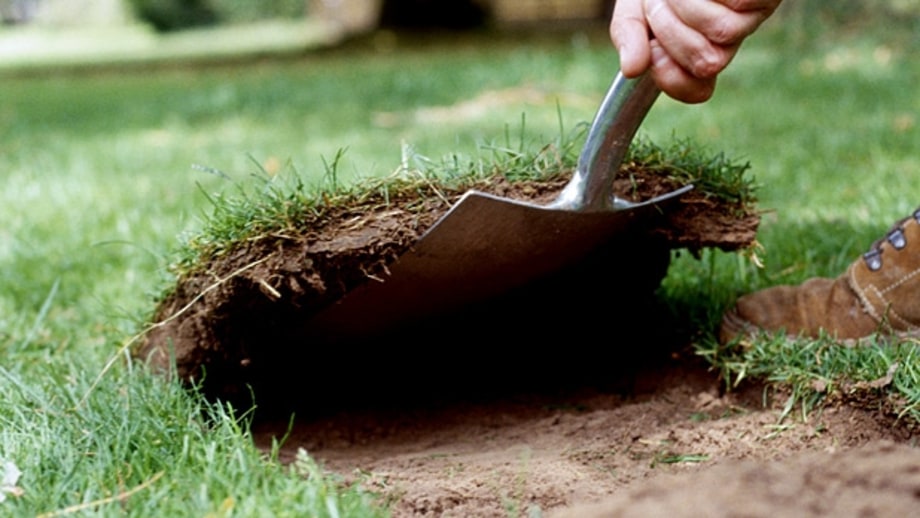 Get rid of grass.