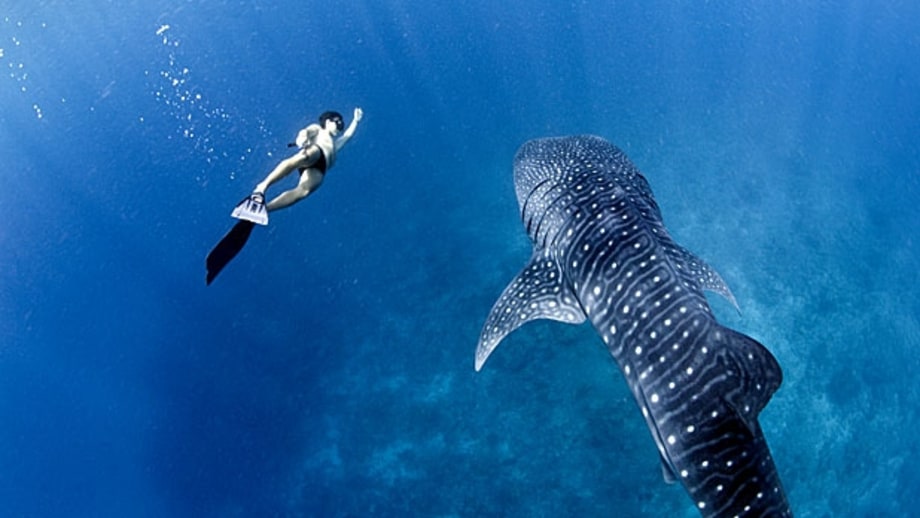 Maldives