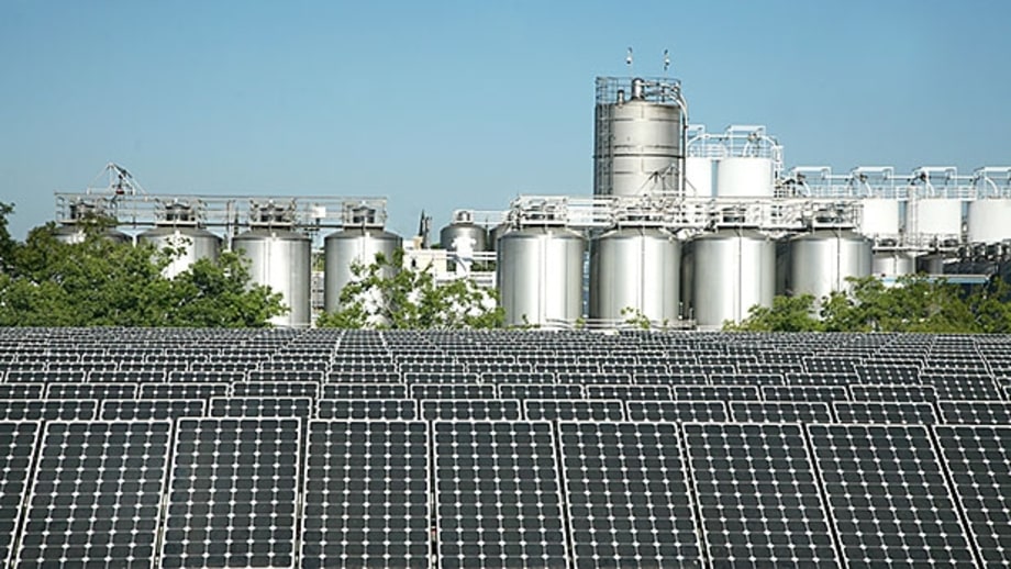 Beer That's Good for the Planet