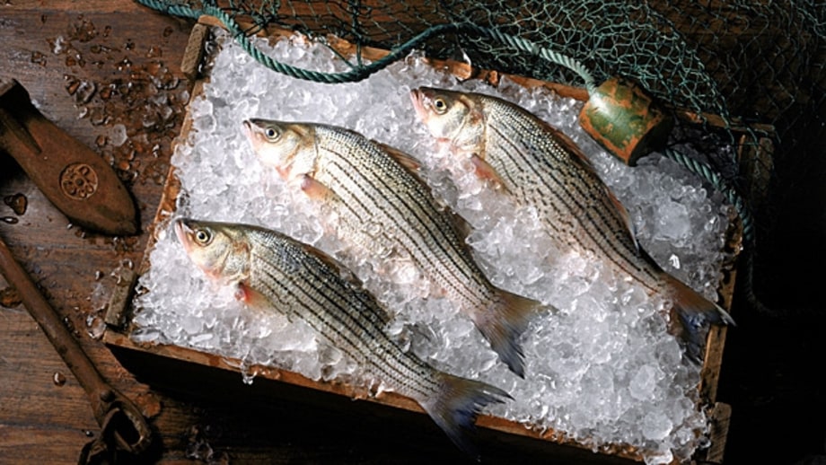 Chris Hastings's Grilled Whole Striped Bass, Gulf Coast Style