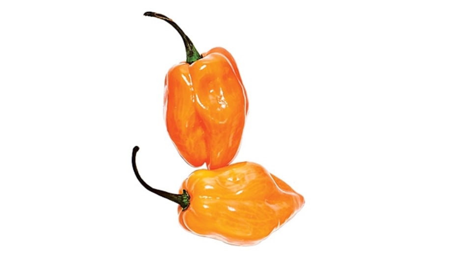 Habanero (superhot)