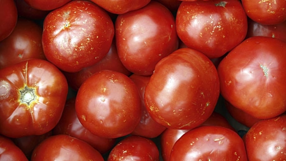 Homemade Ketchup