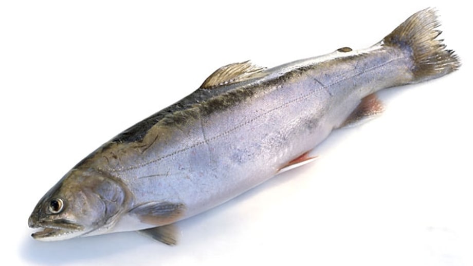 Buy and cook the right farmed fish for home cooking.