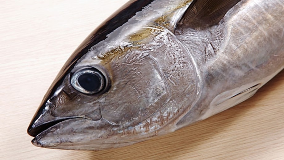 Buy sustainable fish.
