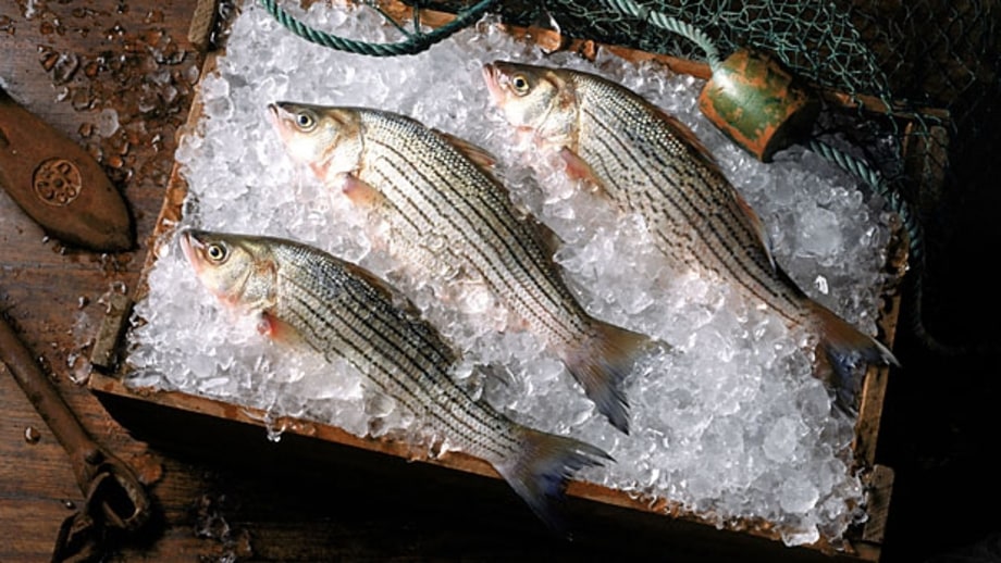 Find out where the fish was harvested (and when it's in season).